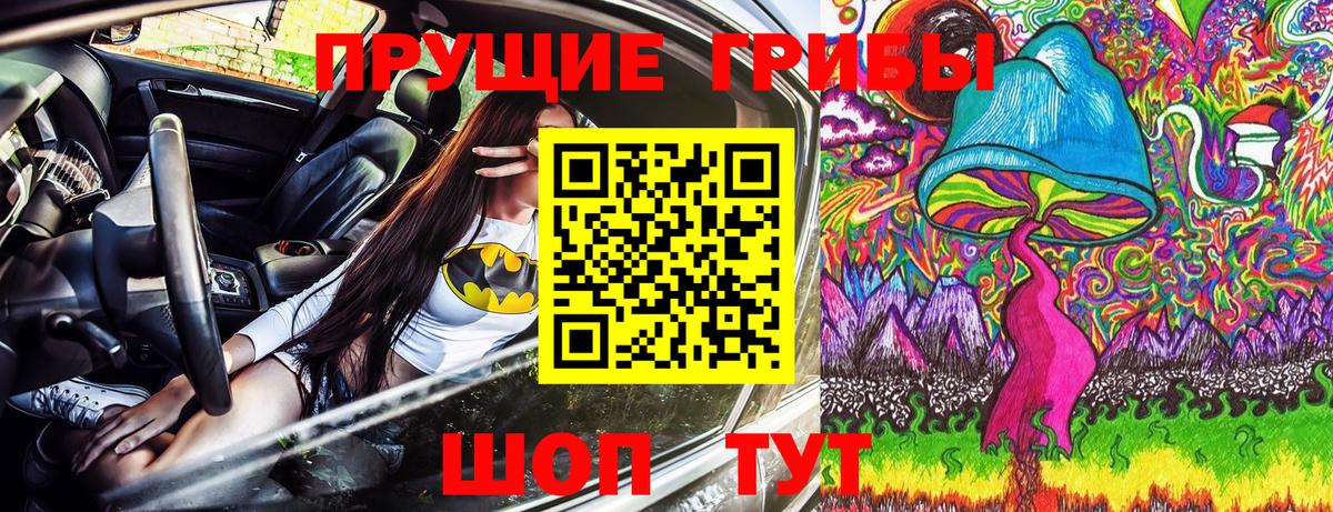 Псилоцибиновые грибы GOLDEN TEACHER Лесной